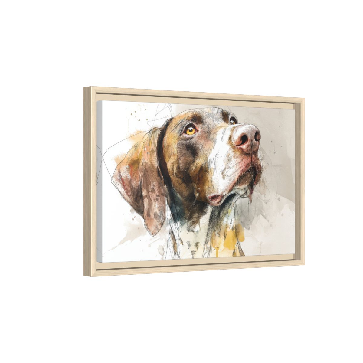 German Shorthaired Pointer Canvas Print – natural wood framed canvas