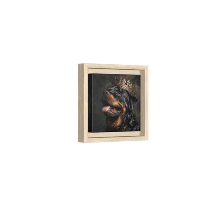 Rottweiler King Canvas Print – natural wood framed canvas