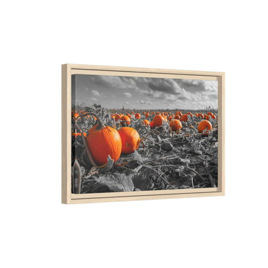 Orange Pumpkin Field Canvas Wall Art – natural wood framed canvas