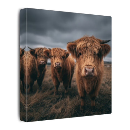 Highland Cow Canvas Wall Art – gallery wrapped canvas, side view