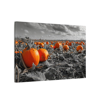 Orange Pumpkin Field Canvas Wall Art – gallery wrapped canvas, side view