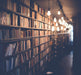 The Long Library — moody architectural canvas wall art with candlelit bookshelves