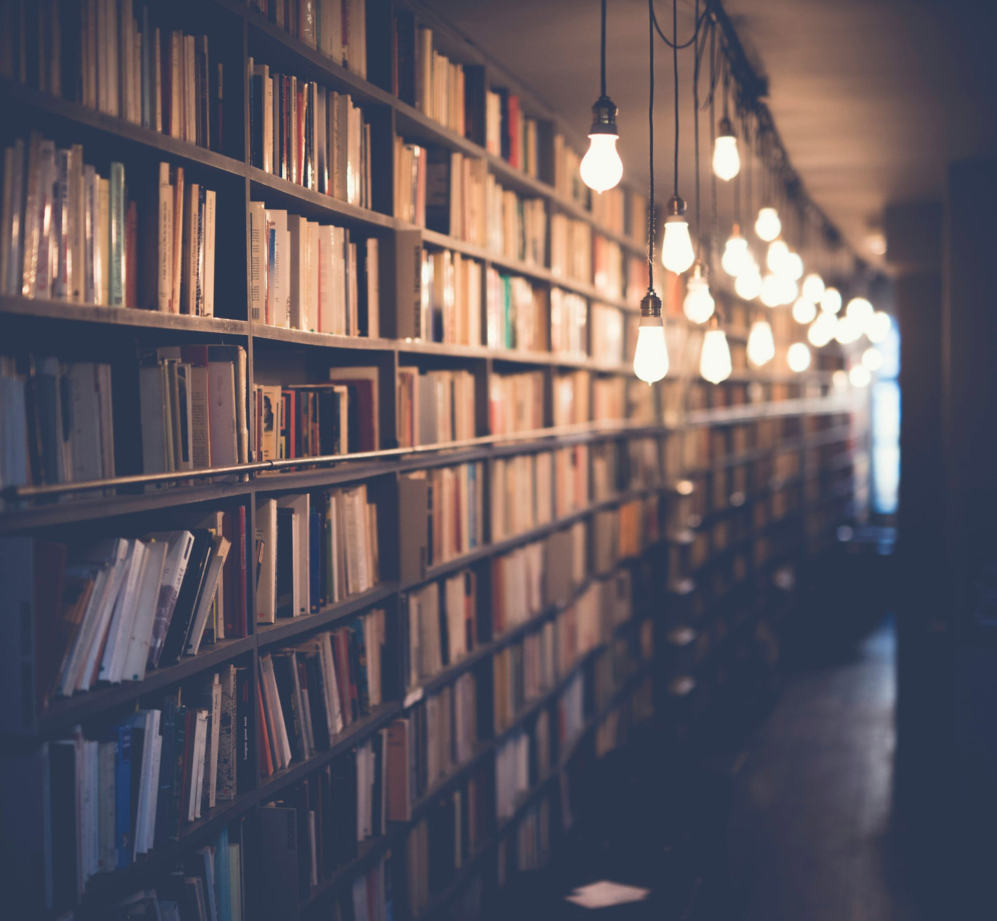 The Long Library — moody architectural canvas wall art with candlelit bookshelves