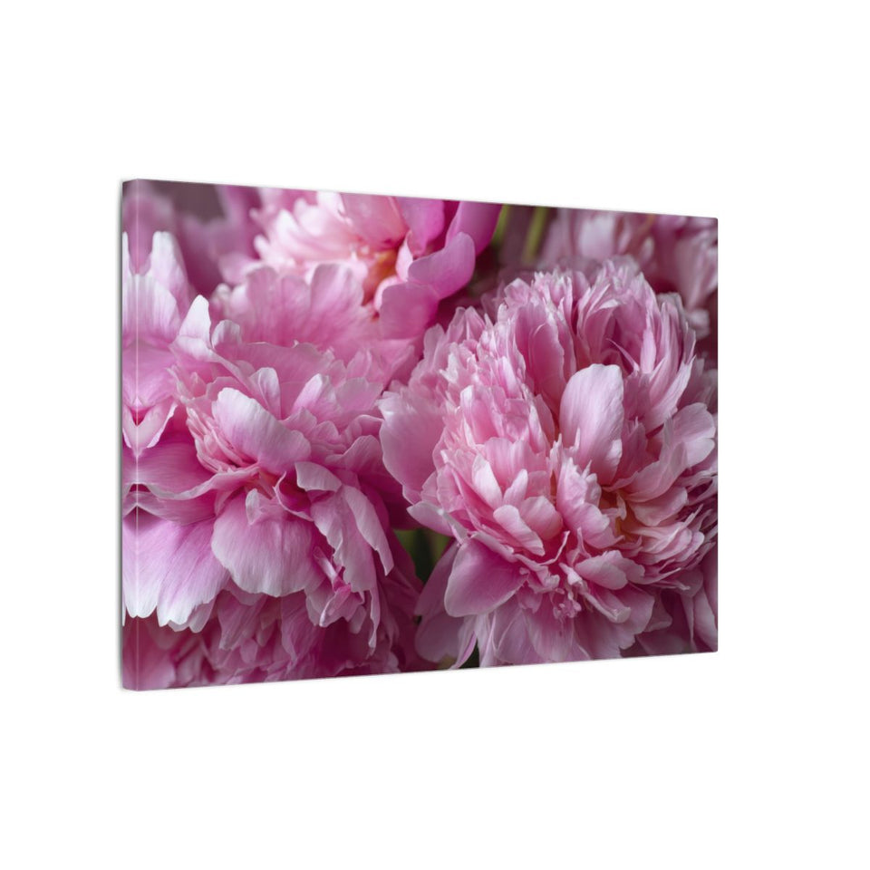 Pink Peony Canvas Wall Art – gallery wrapped canvas, side view