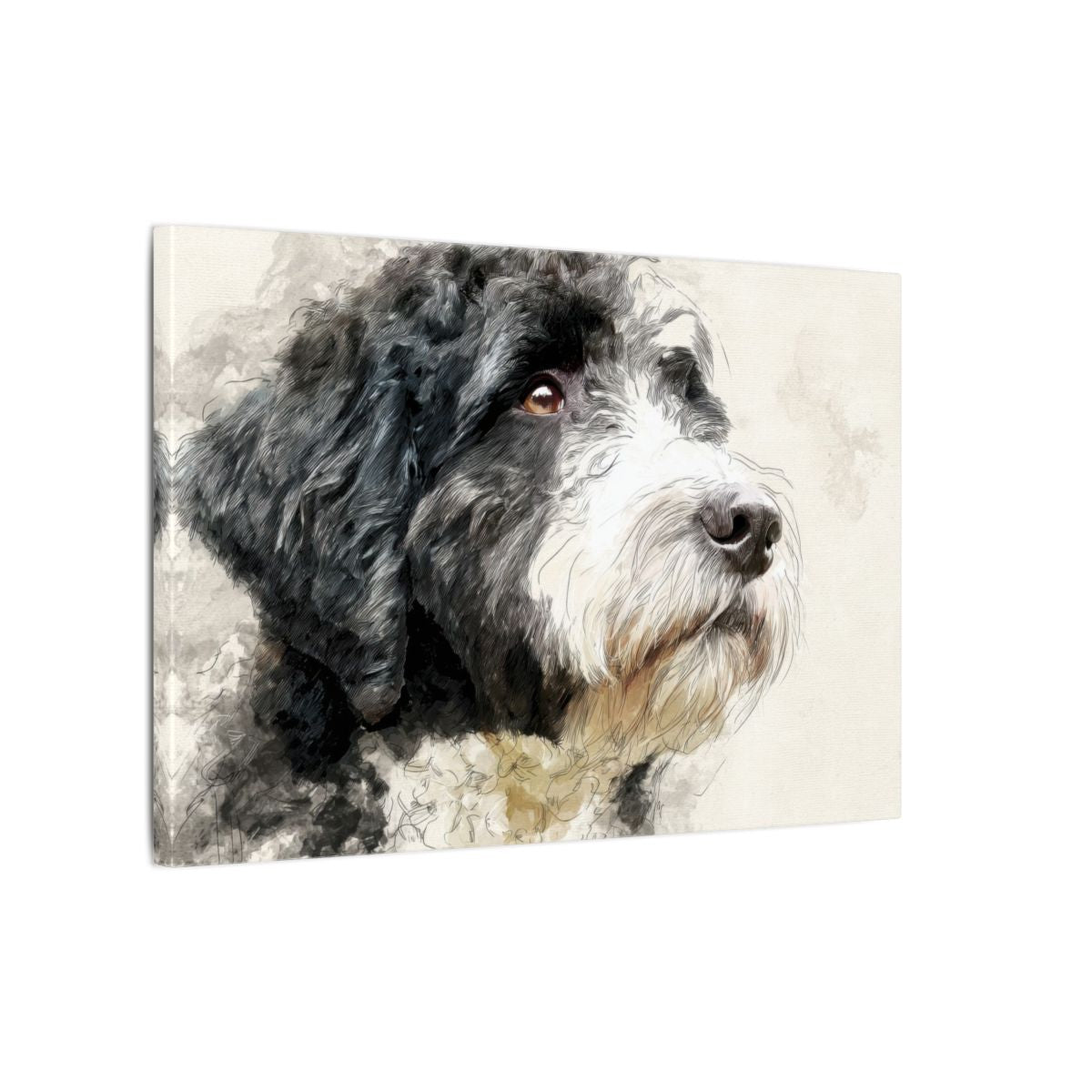 Portuguese Water Dog Canvas Print – gallery wrapped canvas, side view