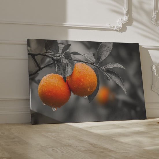 Orange Citrus Canvas Print – short video of the print