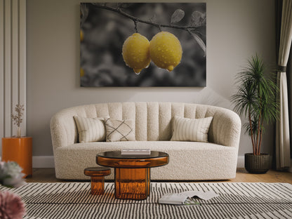 Yellow Lemons Canvas Art – short video of the print