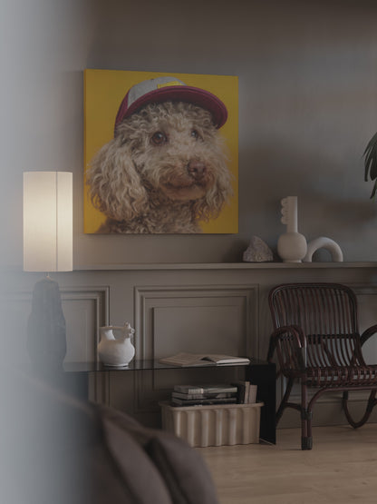 Poodle Baseball Cap Canvas Print – short video of the print