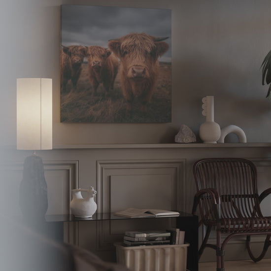 Highland Cow Canvas Wall Art – short video of the print