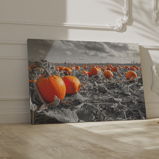 Orange Pumpkin Field Canvas Wall Art – short video of the print