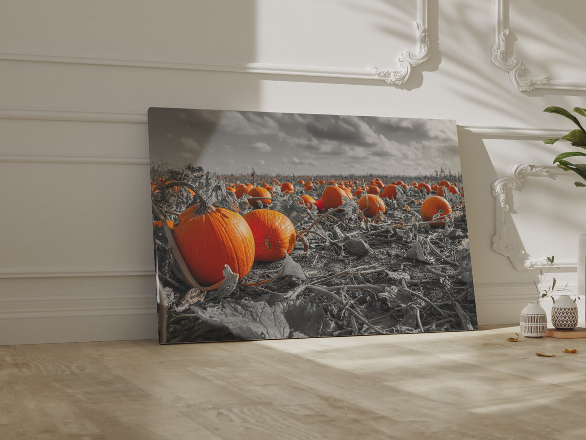 Orange Pumpkin Field Canvas Wall Art – short video of the print