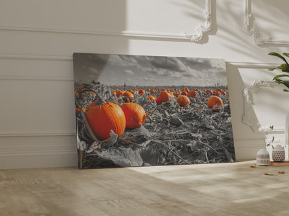 Orange Pumpkin Field Canvas Wall Art – short video of the print