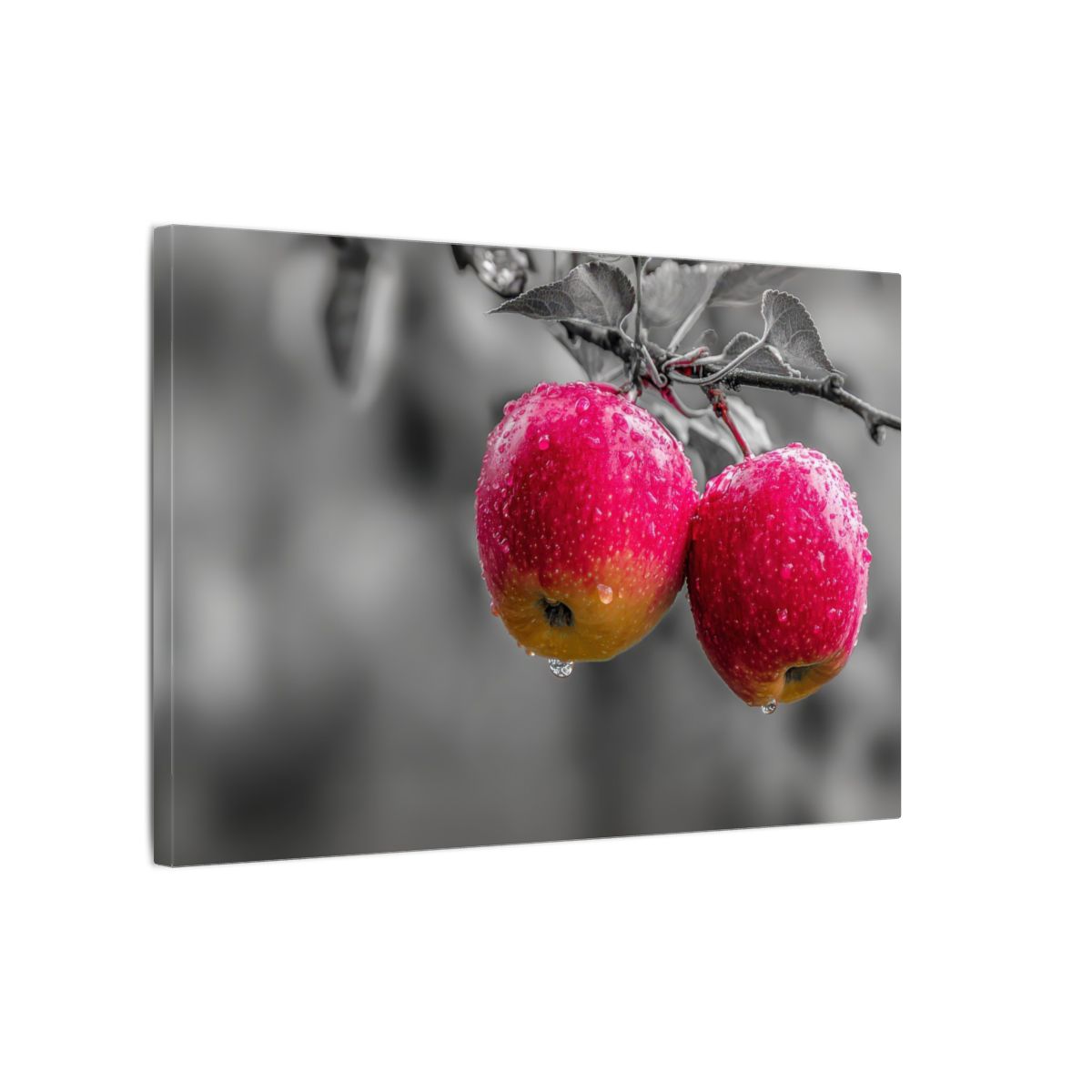 Red Apple Canvas Wall Art – gallery wrapped canvas, side view
