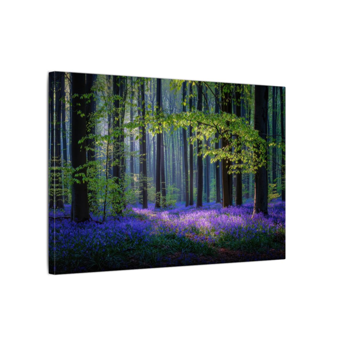Spring Woodland Canvas Wall Art – gallery wrapped canvas, side view